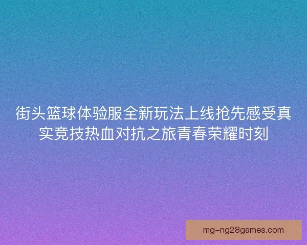 街头篮球体验服全新玩法上线抢先感受真实竞技热血对抗之旅青春荣耀时刻
